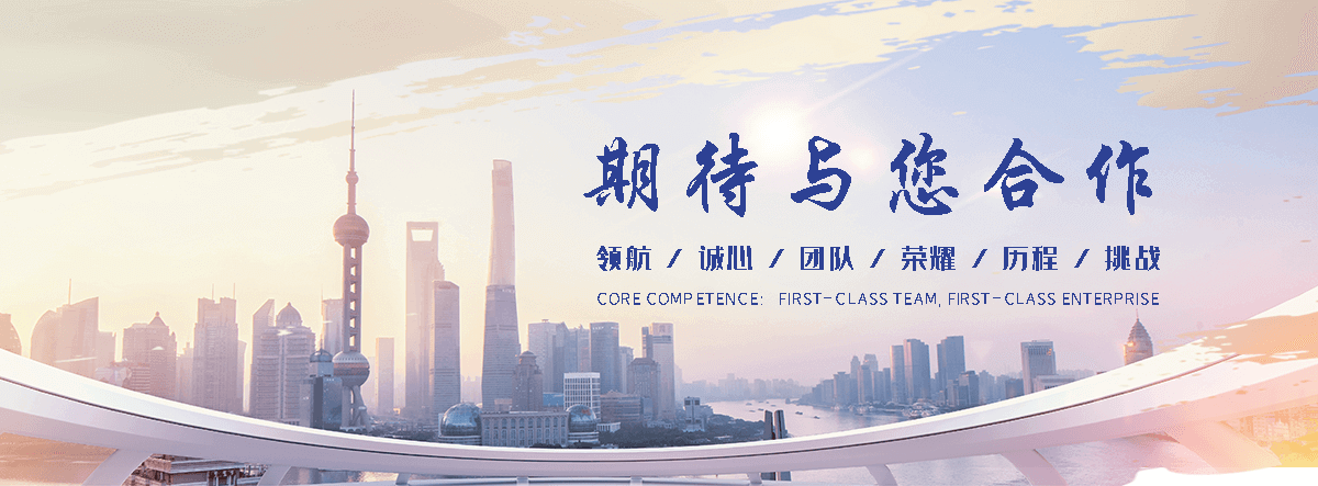 兴税通财税(聊城分公司)